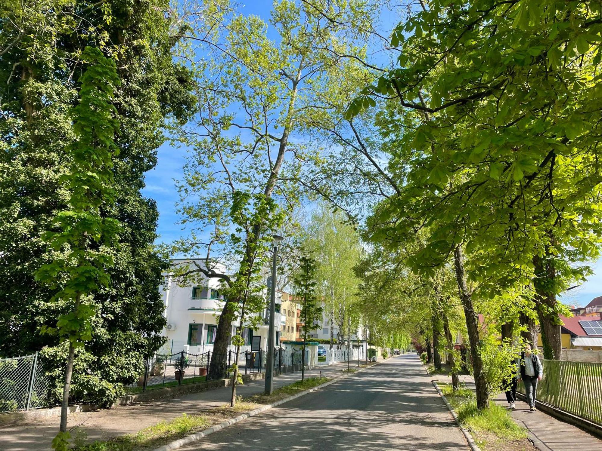 Republic5 Apartment Σίοφοκ Εξωτερικό φωτογραφία